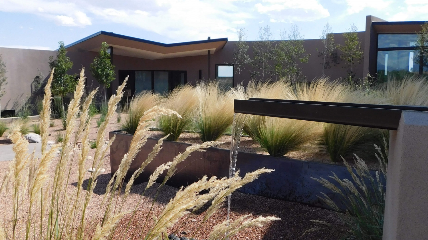 S+A Native & Ultra-Contemporary-12